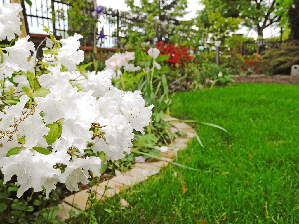 B&B Dimora Morelli กุบบีโอ ภายนอก รูปภาพ
